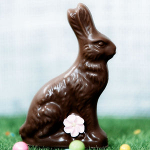 Classic Belgian Chocolate Rabbit | Mr. B's Chocolates, Made in Willmar Minnesota