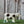 Load image into Gallery viewer, Holstein cow 
